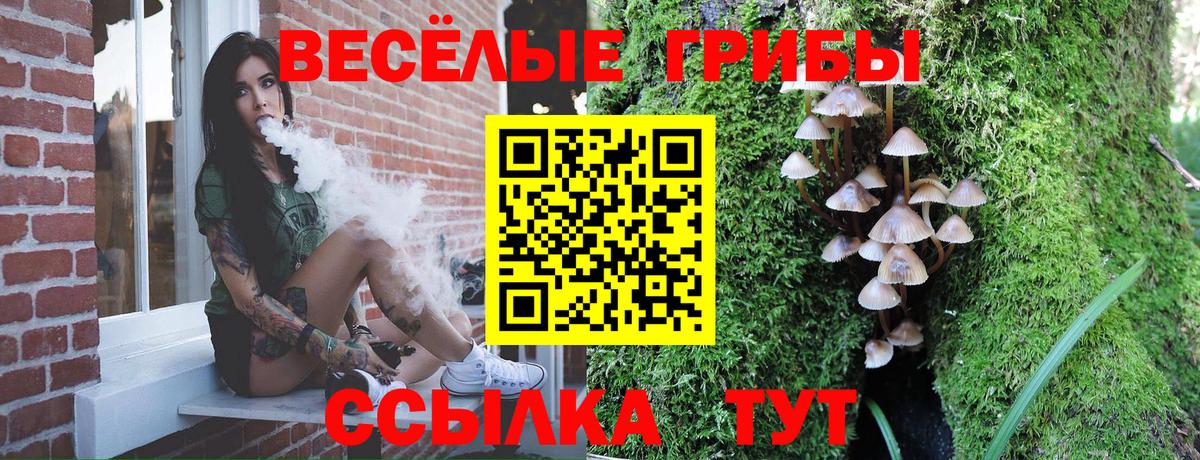 Псилоцибиновые грибы мицелий Спасск-Дальний