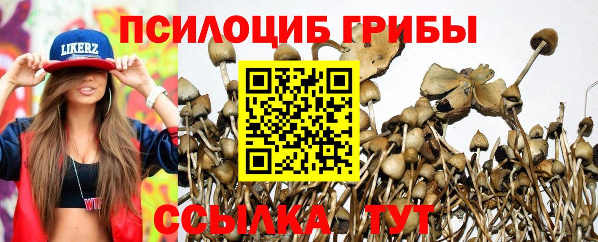 Галлюциногенные грибы мухоморы  Псилоцибиновые грибы мицелий  Вход с VPN  сколько стоит  Спасск-Дальний 